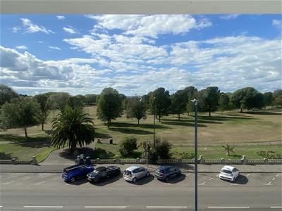 Picture 20
